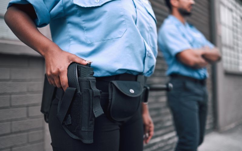 Professional Security Services